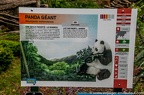 Enclos extérieurs des pandas géants
