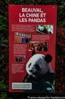 Enclos exterieurs des Pandas Geants (37 sur 135)