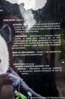 Enclos exterieurs des Pandas Geants (106 sur 135)