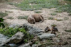 Pampa sud Americaine (3 sur 7)