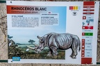Rhinoceros Blancs (10 sur 30)