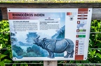 Rhinoceros Indiens (20 sur 20)