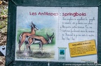Savane (1 sur 27)